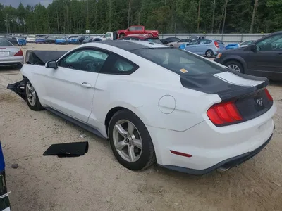 2019 FORD MUSTANG, фото 2, лот 11127405