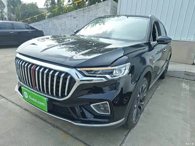 2019 Hongqi HS5 2.0T Smart Connect Enjoy 4WD Edition, фото 2, лот 10289373