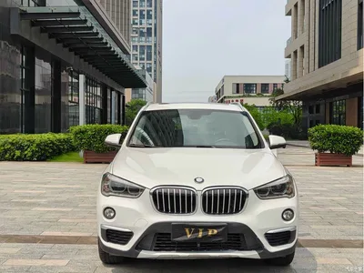 2018 BMW X1 xDrive20Li Premium Model, фото 3, лот 10466501