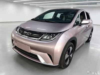 2023 BYD Dolphin 420km Freedom Edition, фото 1, лот 11242953