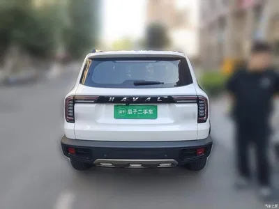 2021 Haval Big Dog 1.5T DCT 2WD Labrador Edition, фото 3, лот 11175797