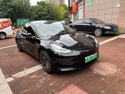 2020 Tesla Model 3 Facelift Standard Range RWD Upgrade, фото 3, лот 10817700