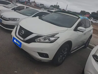 2019 Nissan Murano 2.5L XL 2WD Smart Connect Luxury Edition (China VI), фото 1, лот 10342026