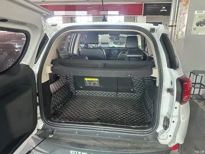 2019 BYD Yuan New Energy EV535 Smart Connection Leading Type, фото 3, лот 10400710