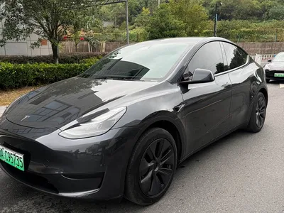 2024 Tesla Model Y Rear-Wheel Drive Version, фото 1, лот 11497061