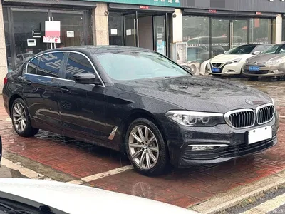 2018 BMW 5 Series 528Li Launch Special Edition, фото 2, лот 10668304