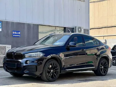 2018 BMW X6 xDrive35i Leading Model, фото 1, лот 11579225