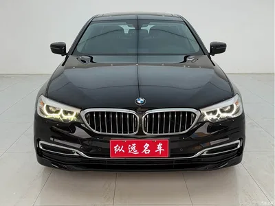 2019 BMW 5 Series 530Li Leading Luxury Package, фото 2, лот 10444564