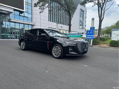 2023 Hongqi H5 2.0T Auto Smart Connect Flag Comfort, фото 4, лот 10391893
