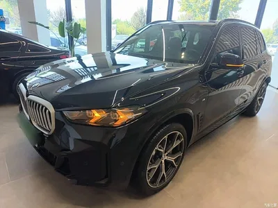 2023 BMW X5 xDrive 30Li Premium M Sport Black Night Package, фото 1, лот 11586326