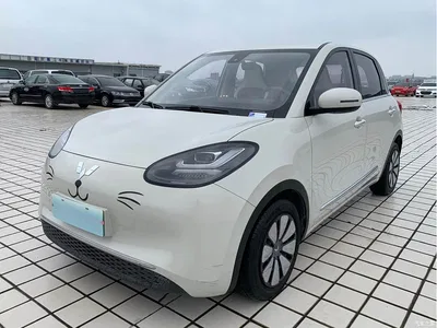 2023 Wuling Motors Wuling Bingo 203km Comfort Version, фото 1, лот 10367548