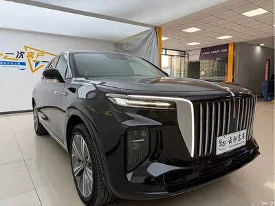 2021 Hongqi E-HS9 460km Flagship Comfort 6-seater, фото 3, лот 10393936