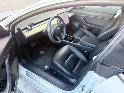 2019 Tesla Model 3 Standard Range Rear-Wheel Drive Upgrade, фото 3, лот 10368962