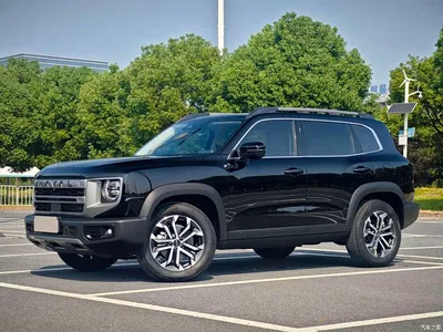 2024 Haval Big Dog 1.5T DCT Border Collie Edition, фото 1, лот 11178986