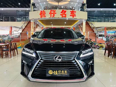 2016 Lexus RX 300 4WD Elegance Edition (China V), фото 2, лот 10438692