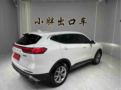 2021 Haval H6 Model National Trend Edition 1.5T Auto Champion, фото 4, лот 10298910