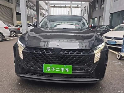 2022 Venucia Big V 260T Dark Horse Edition·Idol, фото 3, лот 11211780