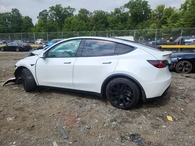 2021 TESLA MODEL Y, фото 2, лот 11363065