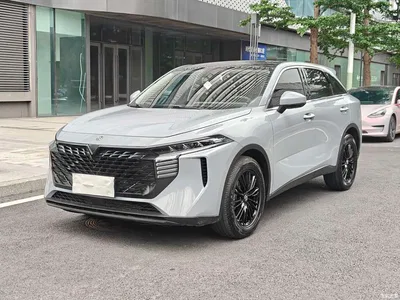 2023 Venucia Big V 260T Idol Edition Pro, фото 1, лот 11153913