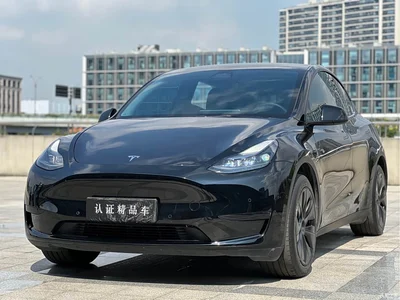 2024 Tesla Model Y Rear-Wheel Drive Version, фото 1, лот 10666663