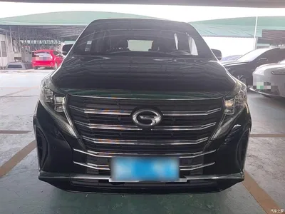 2021 GAC Trumpchi Trumpchi M8 Leading Show Series 390T Prestige Edition, фото 3, лот 10954934