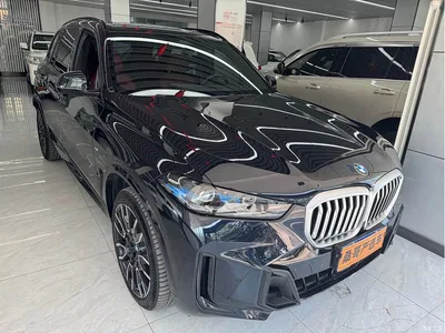 2025 BMW X5 Model xDrive 40Li M Sport Blackout Package, фото 4, лот 10462970