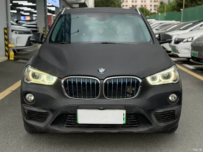 2018 BMW X1 New Energy xDrive25Le Luxury Model, фото 4, лот 11513642