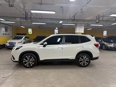 2024 Subaru Forester 2.5i AWD Premium EyeSight, фото 4, лот 10342247