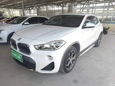2019 BMW X2 (Import) sDrive20i M Off-Road Package China VI, фото 2, лот 10475643