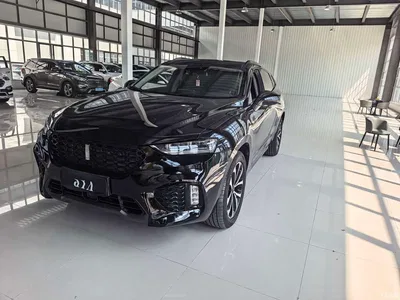 2017 WEY VV7 2.0T Luxury, фото 1, лот 10451646