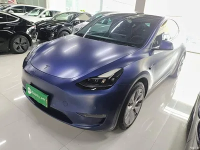 2021 Tesla Model Y Standard Range Rear-Wheel Drive, фото 1, лот 10455395