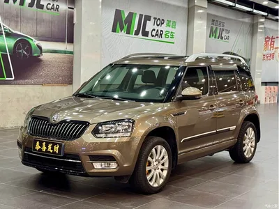 2017 Škoda Yeti TSI280 DSG Pioneer, фото 1, лот 10349550