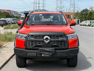 2023 Great Wall Pao 2.0T Off-Road Edition Automatic Diesel 4WD Everest Edition, фото 2, лот 10386137