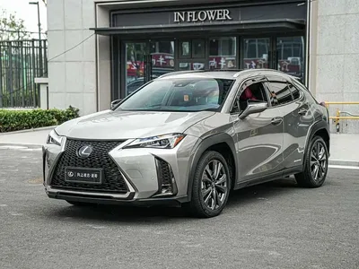 2020 Lexus UX 260h F SPORT Edition, фото 1, лот 10890243