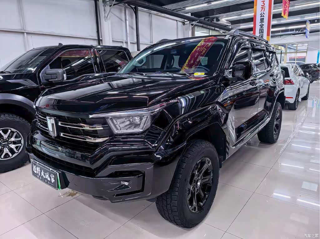 2024 Tank 400 New Energy Hi4-T Off-Road Edition, фото 3, лот 11068127
