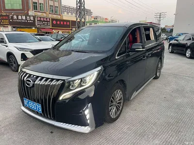 2021 GAC Trumpchi Trumpchi M8 Master Series 390T Prestige Edition, фото 1, лот 10416412