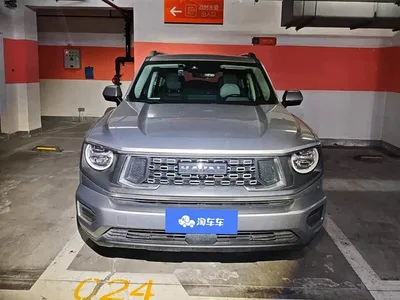 2023 Haval Da Gou 2nd Gen 2.0T AWD Wild Adventure Plus, фото 2, лот 11103741