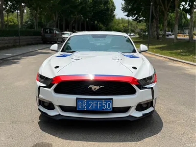 2017 Ford Mustang 2.3T Performance Edition, фото 2, лот 10280427