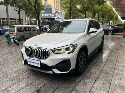 2022 BMW X1 sDrive25Li Leading, фото 1, лот 10465147