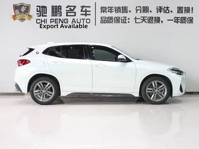 2021 BMW X2 sDrive25i Leading M Sport Package, фото 3, лот 10475539