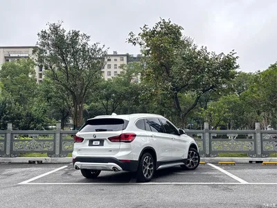 2021 BMW X1 Facelift sDrive20Li Premium, фото 4, лот 11203819