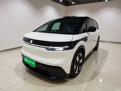 2025 ZEEKR MIX Smart Driving Edition, фото 1, лот 11219387