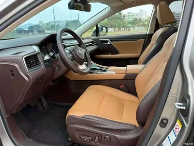 2016 Lexus RX 300 4WD Elegance Edition (China V), фото 4, лот 10314315