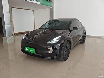 2022 Tesla Model Y Facelift Rear-Wheel Drive Version, фото 1, лот 10621390