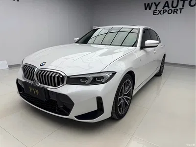 2023 BMW 3 Series 320Li M Sport Package, фото 1, лот 10575658