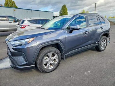 2025 TOYOTA RAV4 HYBRID XLE, фото 1, лот 11578270