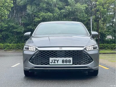 2023 BYD Qin PLUS Champion Edition DM-i 55KM Leading, фото 2, лот 10506877