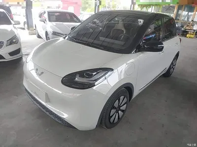 2023 Wuling Motors Wuling Bingo Model 333km Telepathic Connect+ Version, фото 1, лот 10370999