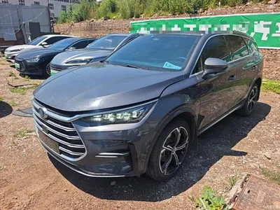 2021 BYD Tang New Energy DM-i 112KM Premium, фото 2, лот 10272474