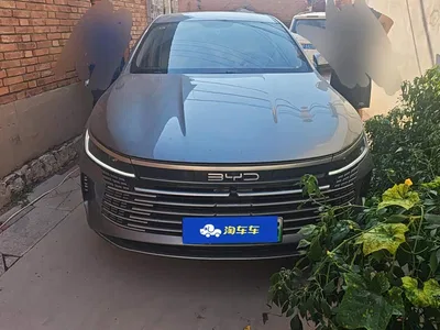 2024 BYD Destroyer 05 Glory Edition DM-i 55KM Luxury, фото 2, лот 10893763